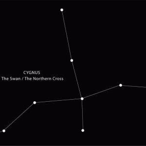 Cygnus